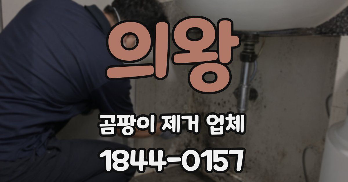 의왕 곰팡이 제거 업체