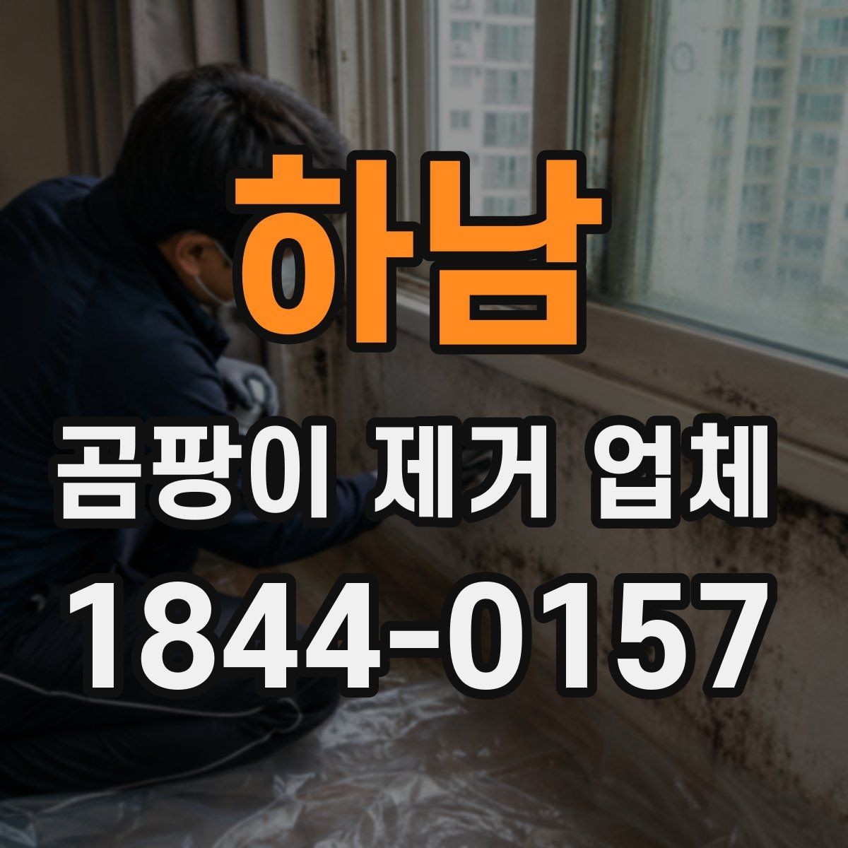 하남 곰팡이 제거 업체 저층 주택 냄새 원인을 추적하는 방식