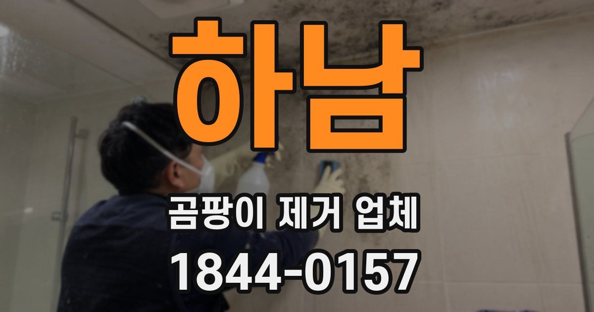 하남 곰팡이 제거 업체