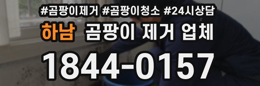 하남 곰팡이 제거 업체