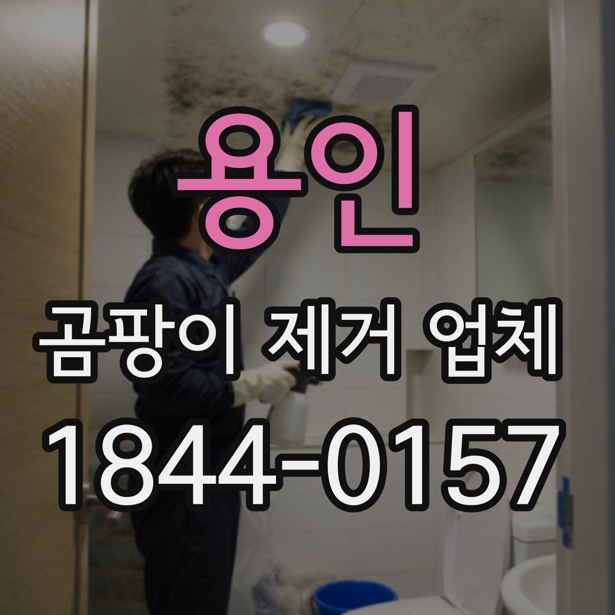 용인 곰팡이 제거 업체