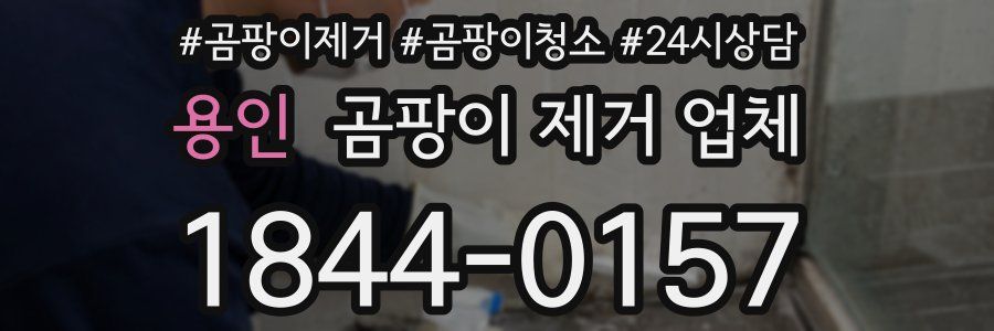 용인 곰팡이 제거 업체