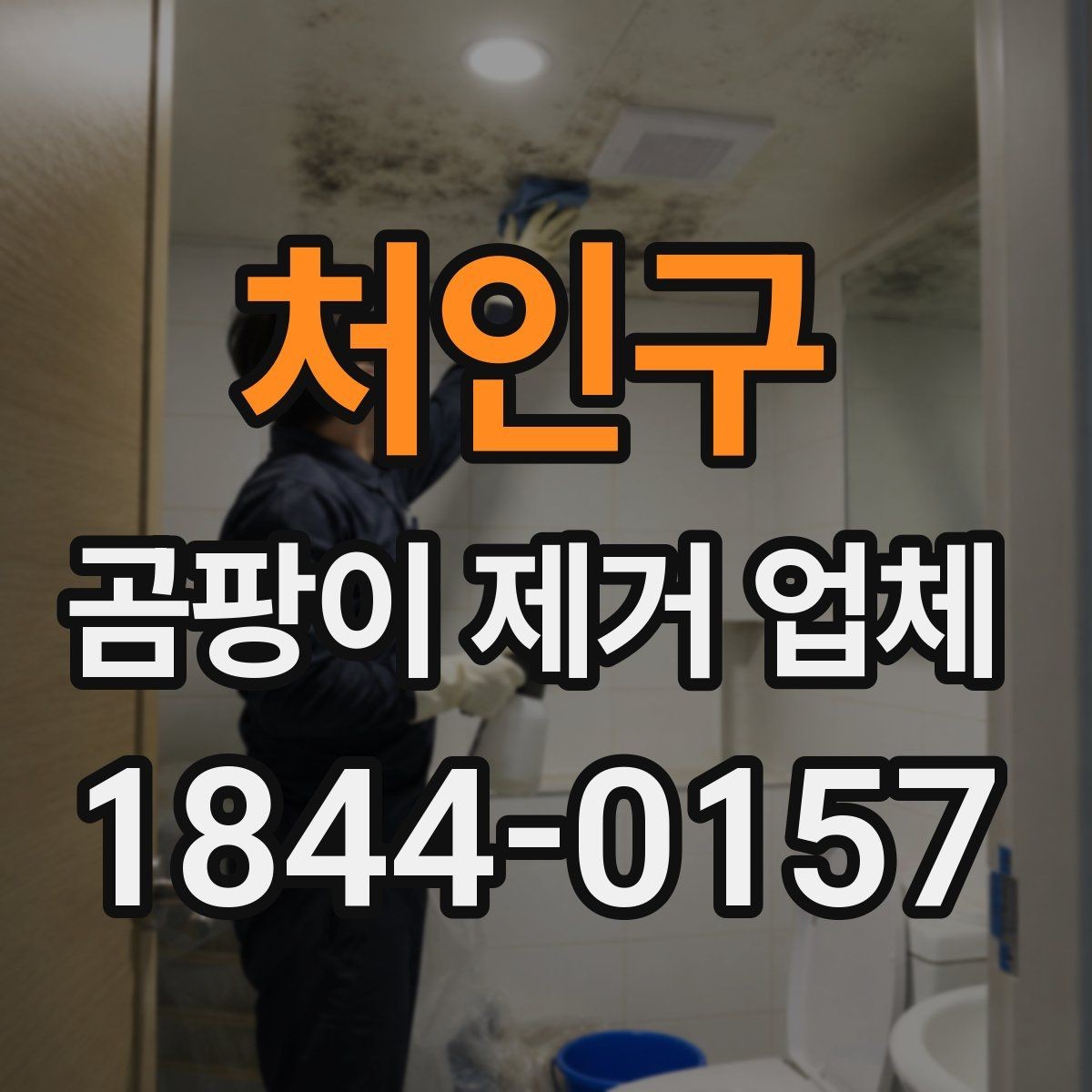 처인구 곰팡이 제거 업체 누수와 결로를 함께 확인하는 방문 진단