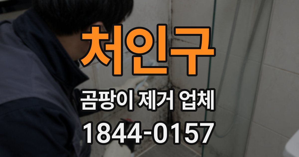 처인구 곰팡이 제거 업체