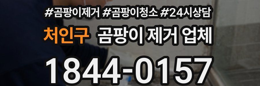 처인구 곰팡이 제거 업체