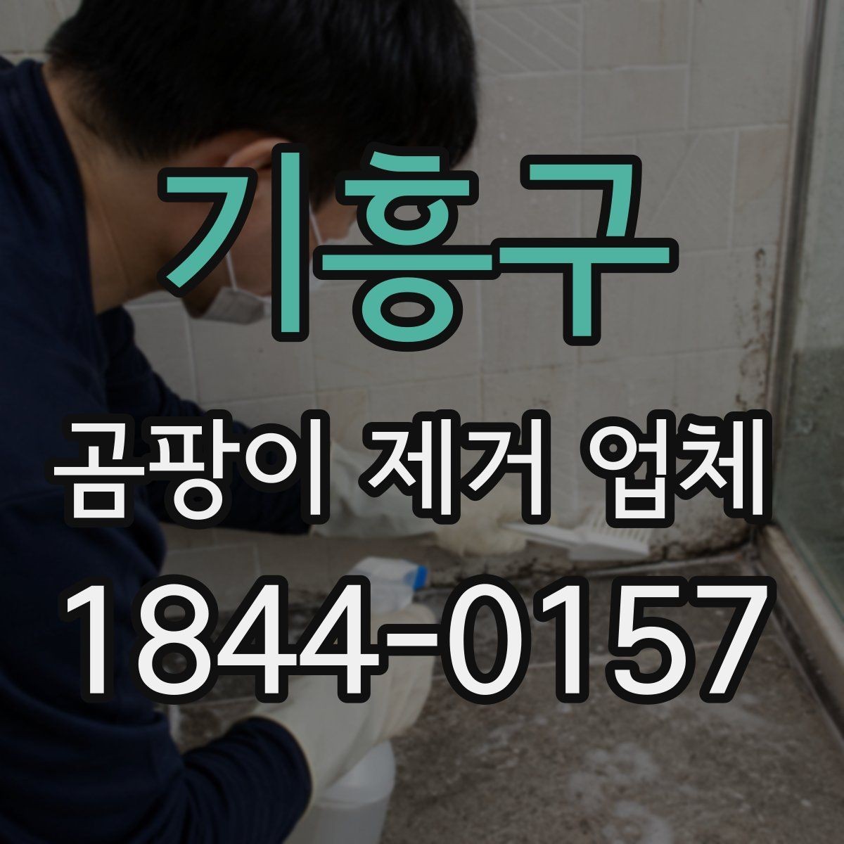 기흥구 곰팡이 제거 업체 세입자 요청 전 먼저 볼 현장 포인트