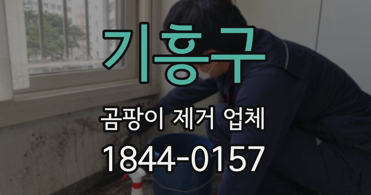기흥구 곰팡이 제거 업체