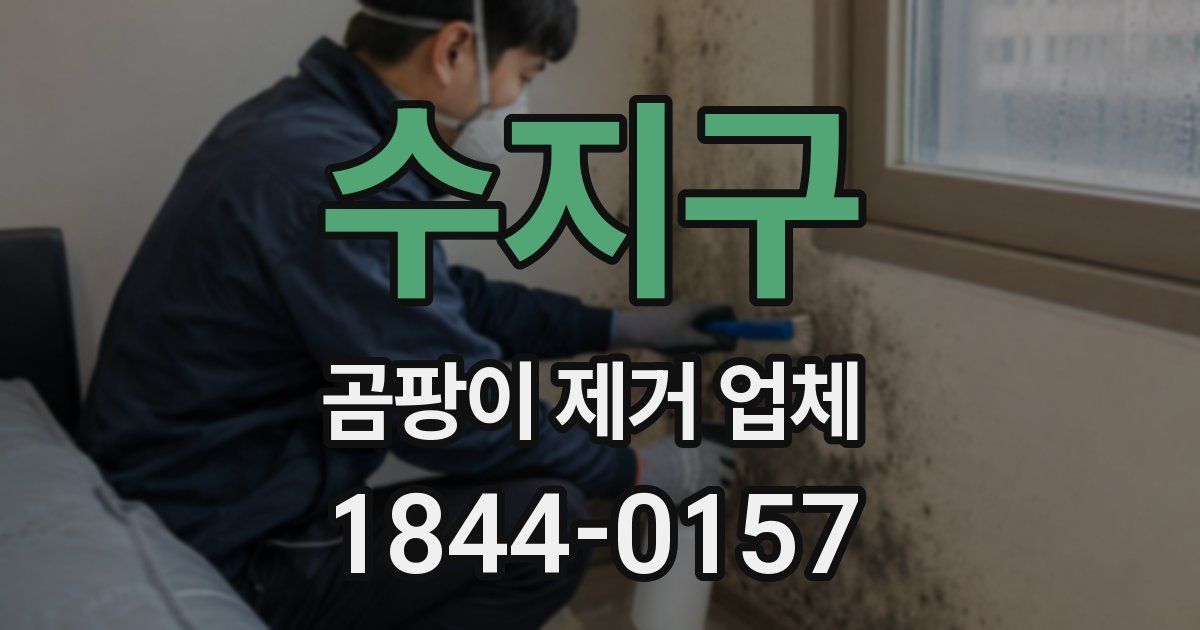 수지구 곰팡이 제거 업체