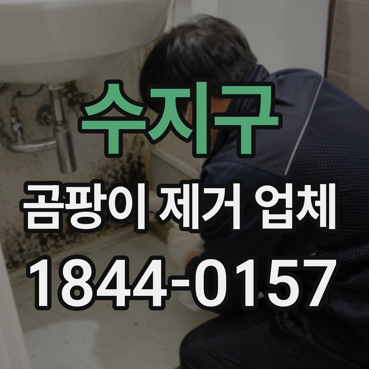 수지구 곰팡이 제거 업체