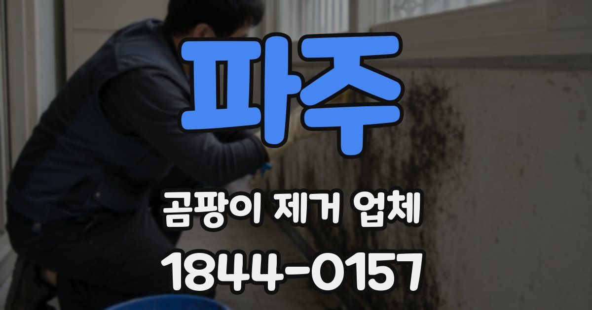 파주 곰팡이 제거 업체