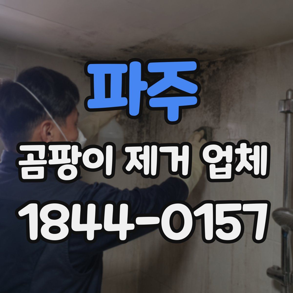 파주 곰팡이 제거 업체