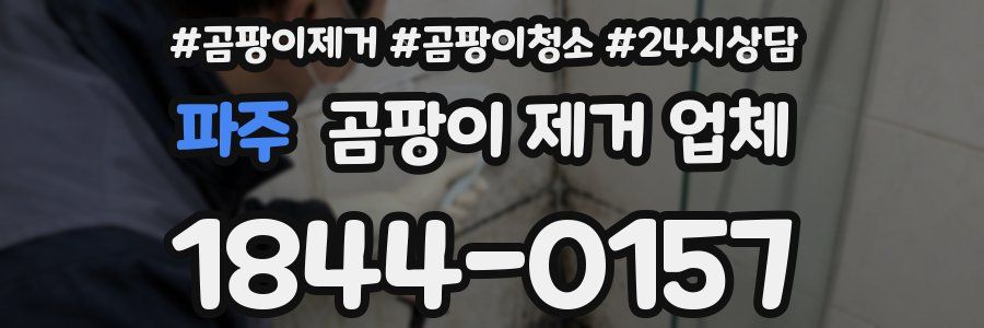 파주 곰팡이 제거 업체