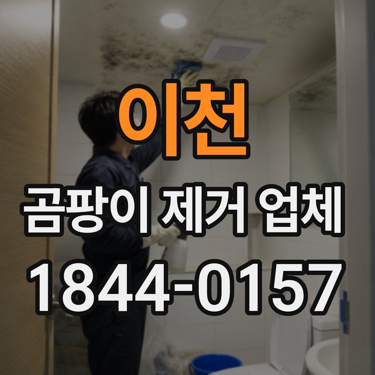 이천 곰팡이 제거 업체 목재 마감재 오염 특성과 보수 방향