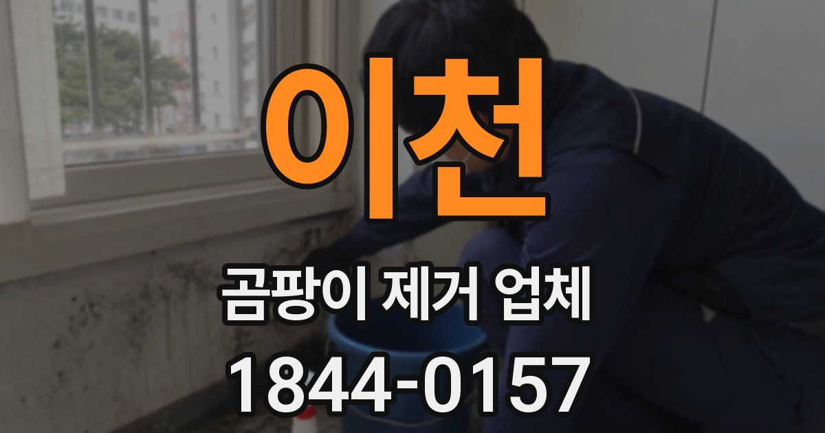 이천 곰팡이 제거 업체