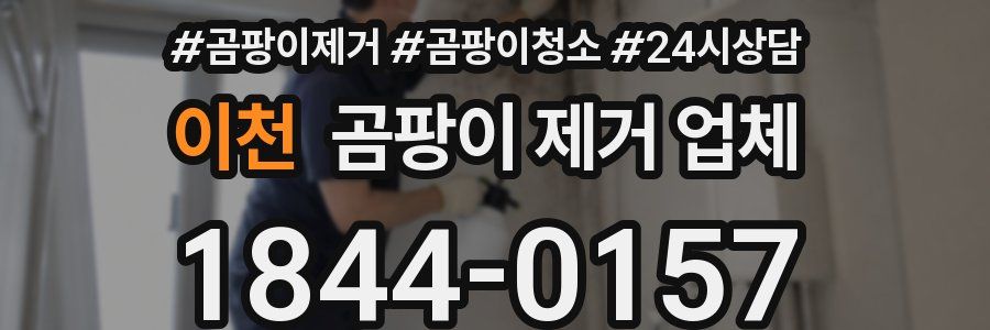 이천 곰팡이 제거 업체