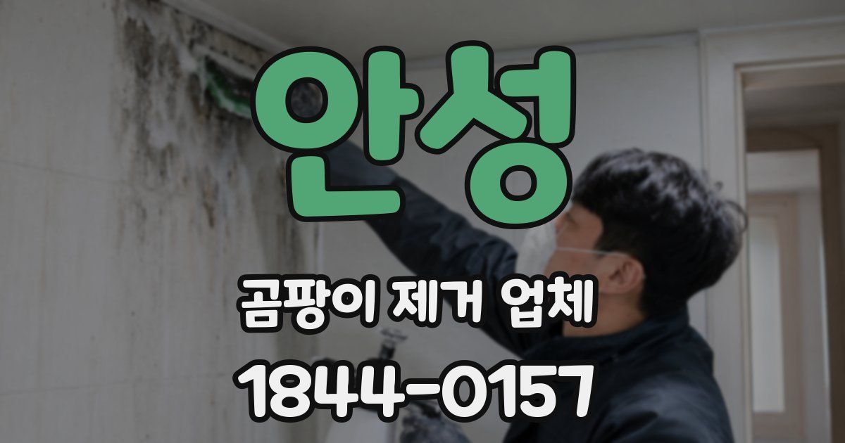 안성 곰팡이 제거 업체