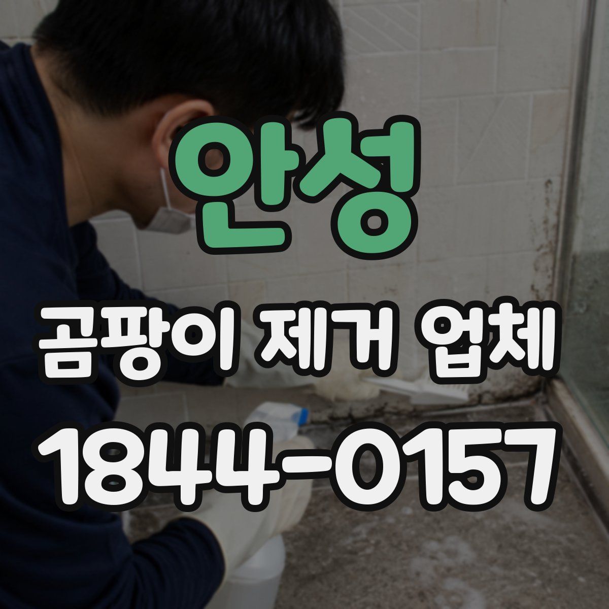 안성 곰팡이 제거 업체