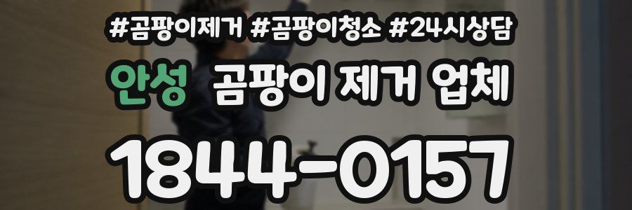 안성 곰팡이 제거 업체