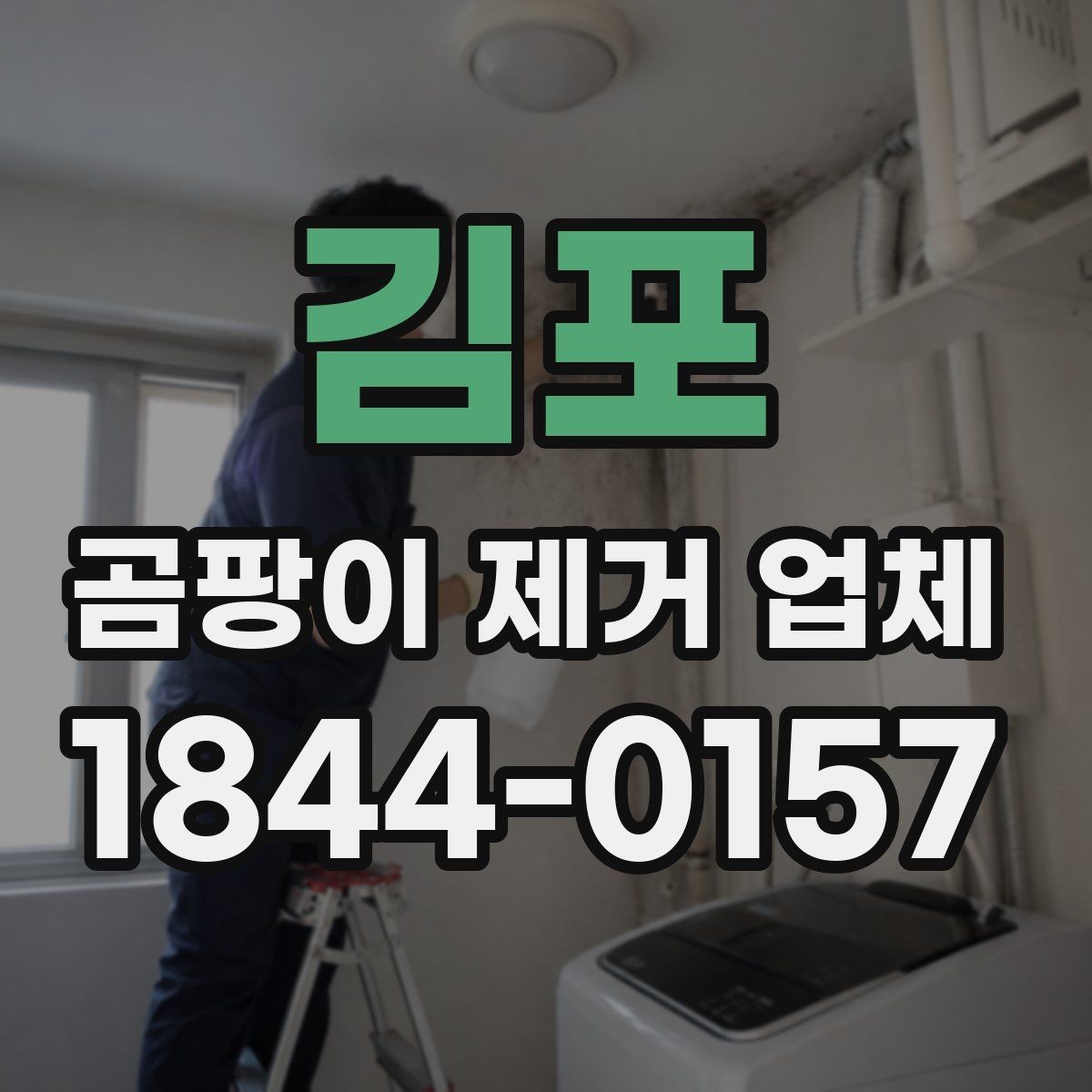 김포 곰팡이 제거 업체 주거공간 재발 방지 점검이 중요한 구간 정리