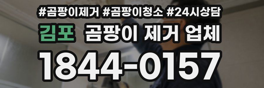김포 곰팡이 제거 업체