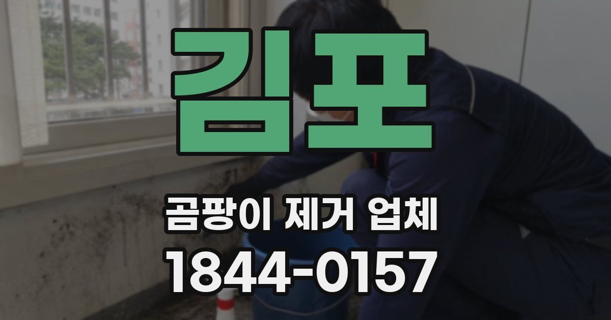 김포 곰팡이 제거 업체