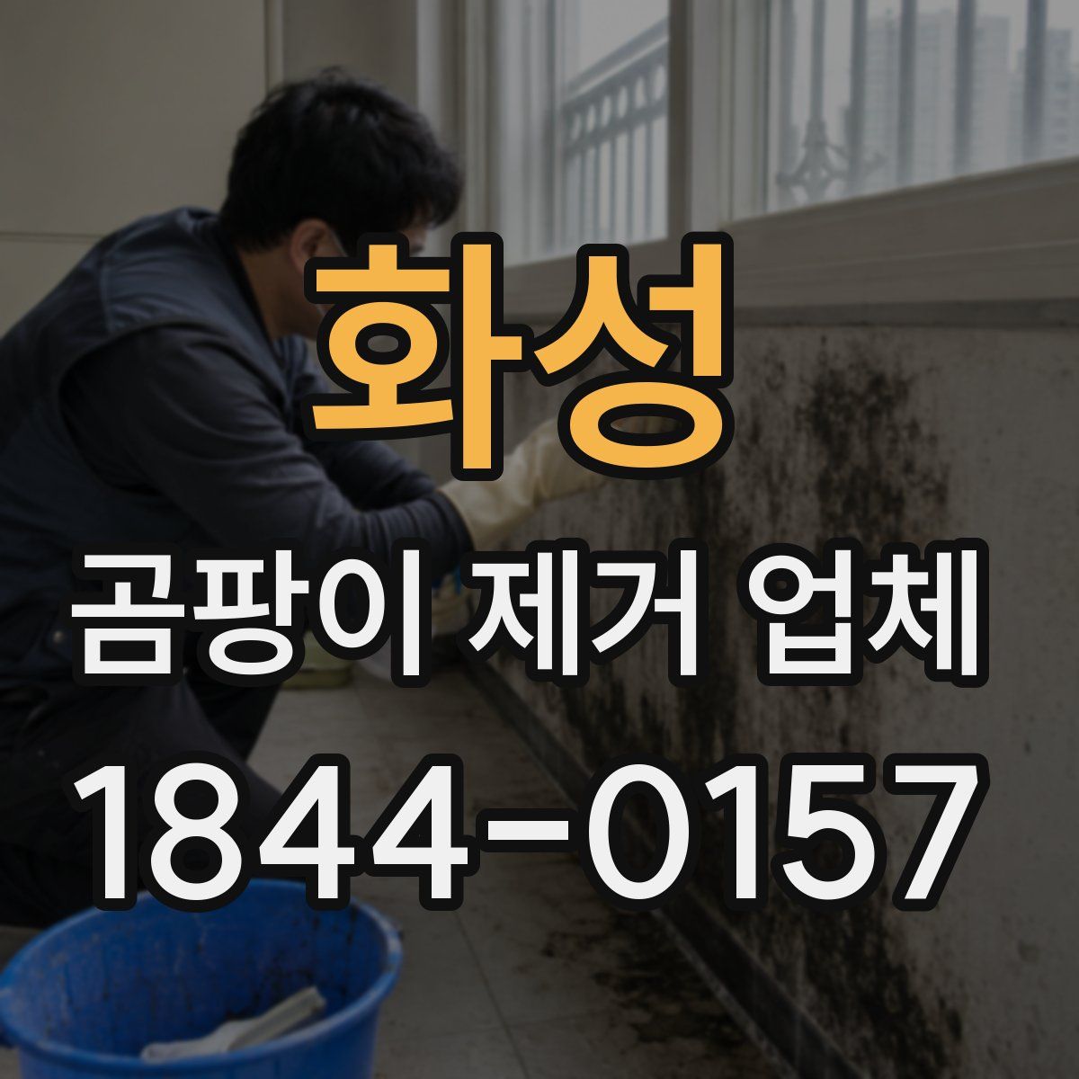 화성 곰팡이 제거 업체