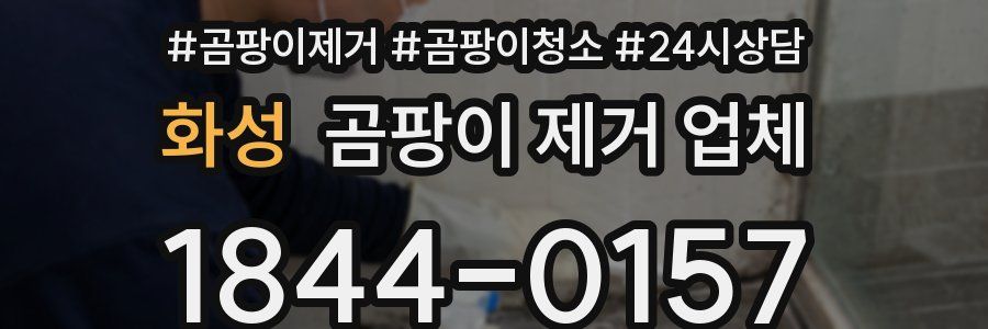 화성 곰팡이 제거 업체