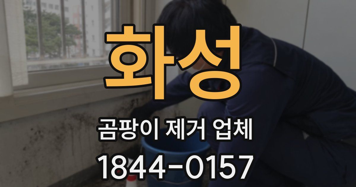 화성 곰팡이 제거 업체