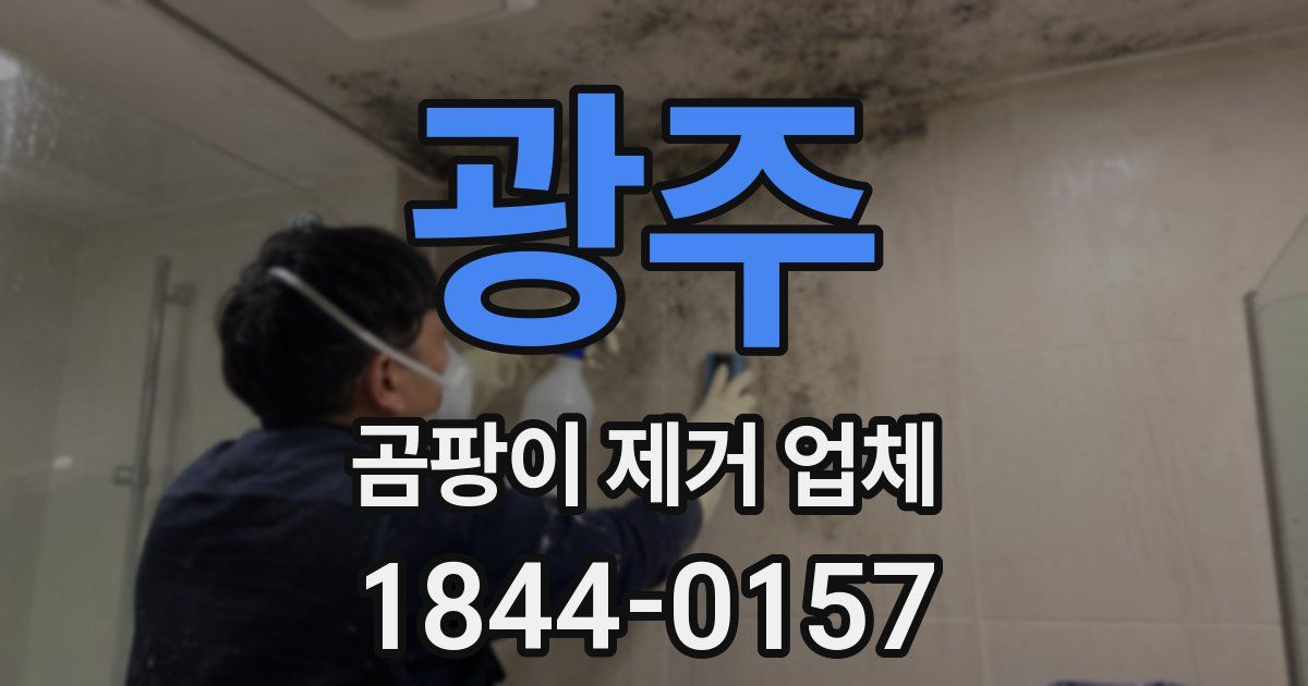 광주 곰팡이 제거 업체