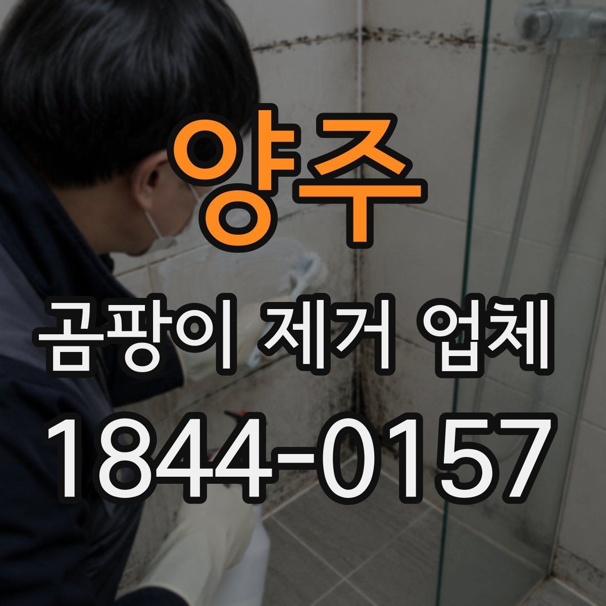 양주 곰팡이 제거 업체 자재의 훼손 정도에 따른 작업 범위 안내