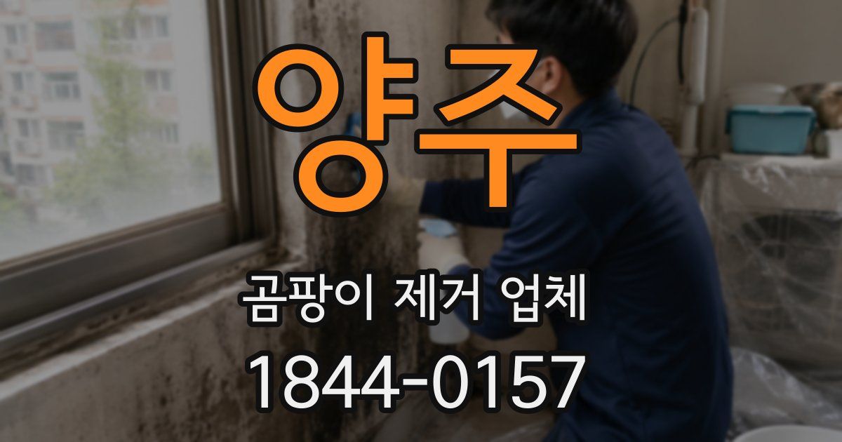 양주 곰팡이 제거 업체