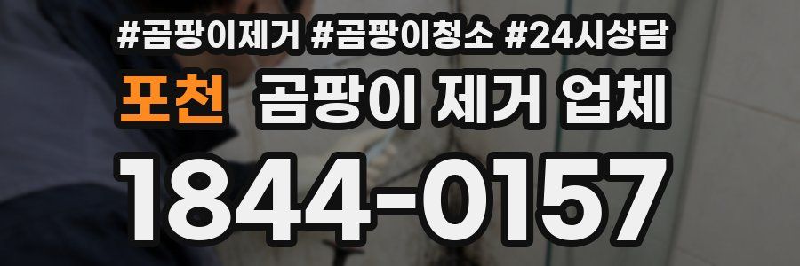 포천 곰팡이 제거 업체
