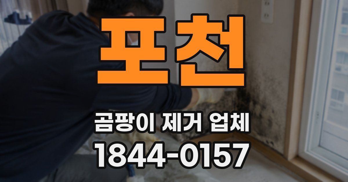 포천 곰팡이 제거 업체