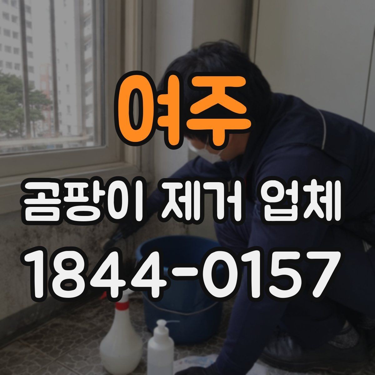 여주 곰팡이 제거 업체 벽체 내부 습기까지 의심해야 하는 상황