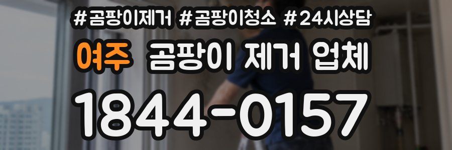 여주 곰팡이 제거 업체