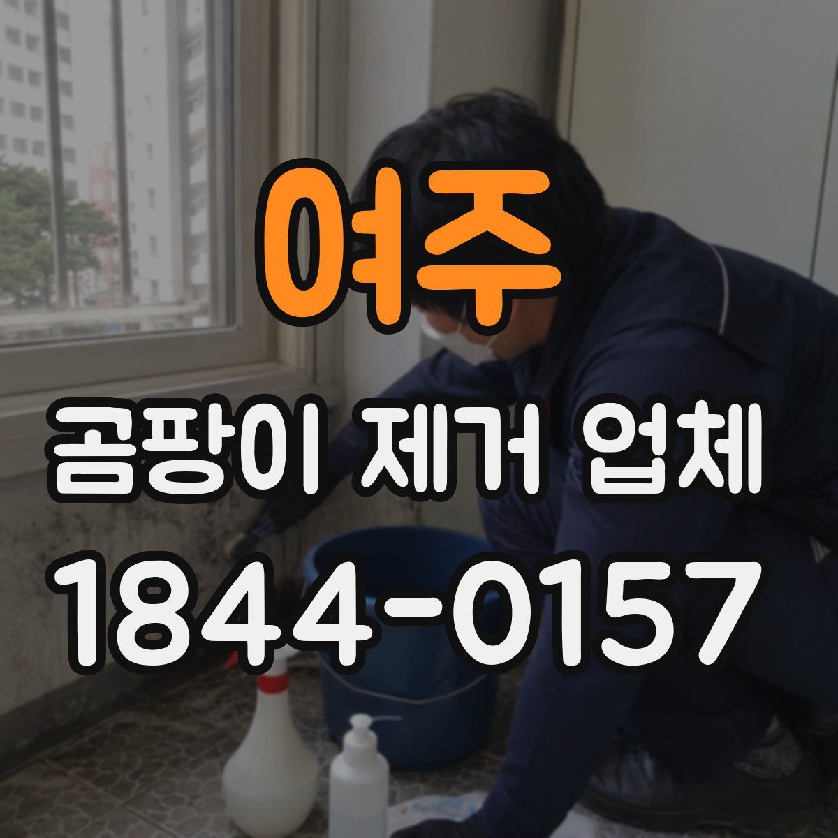 여주 곰팡이 제거 업체
