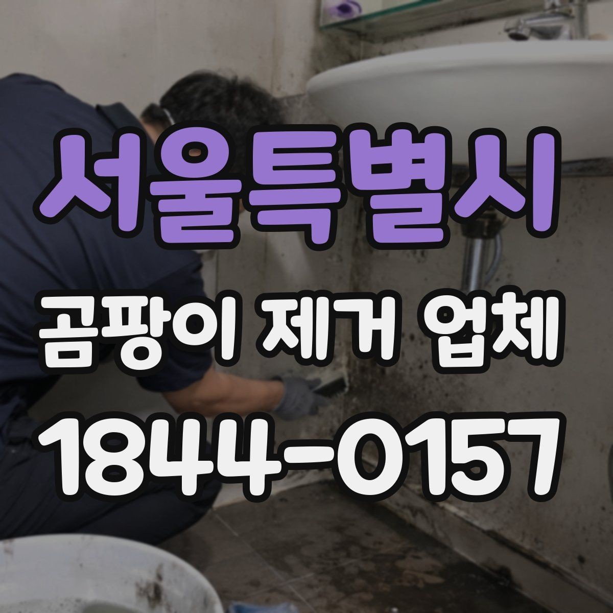 서울특별시 곰팡이 제거 업체 벽면 번짐과 석고보드 상태 확인