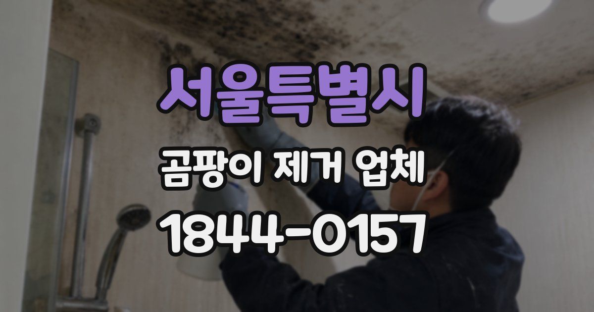 서울특별시 곰팡이 제거 업체