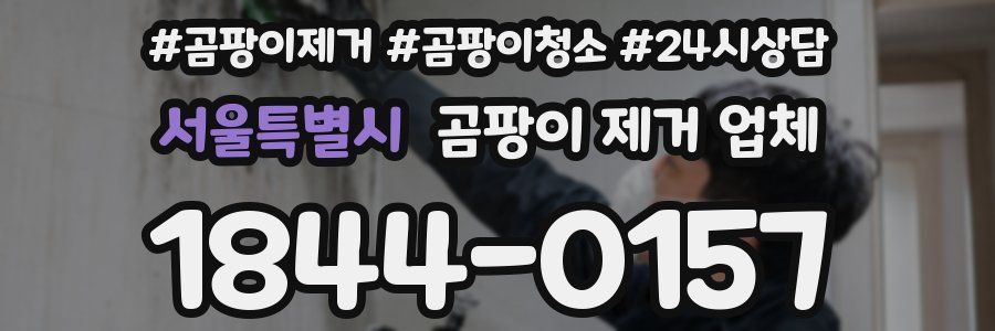 서울특별시 곰팡이 제거 업체