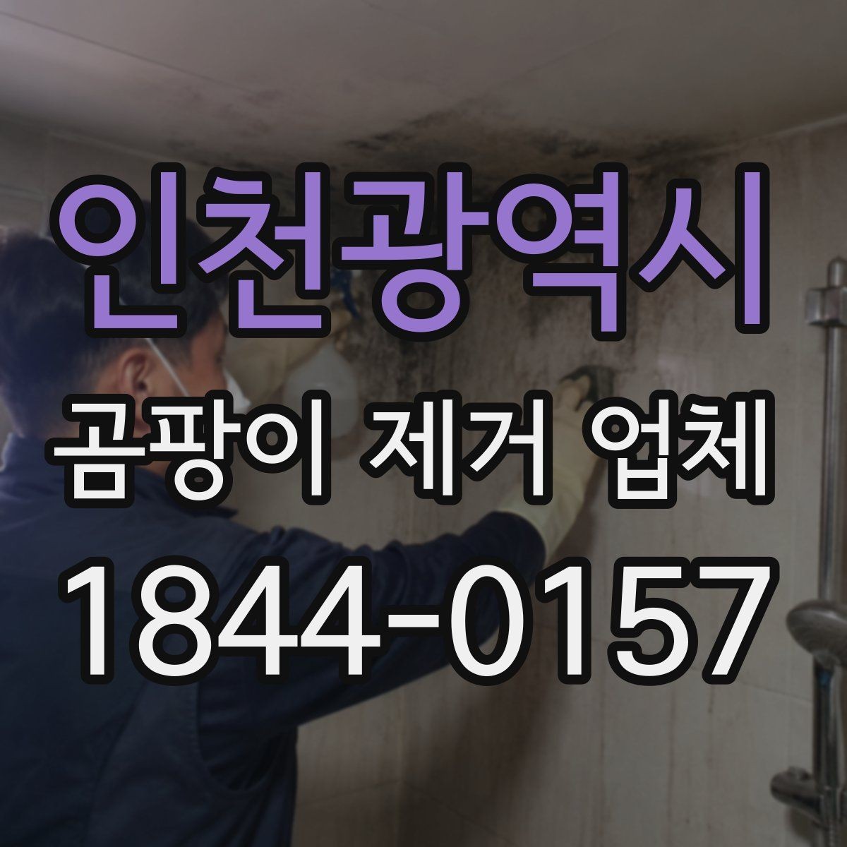 인천광역시 곰팡이 제거 업체 약제 선택 전에 확인해야 할 실내 환경 조건