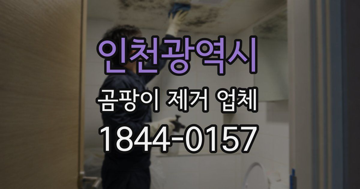 인천광역시 곰팡이 제거 업체