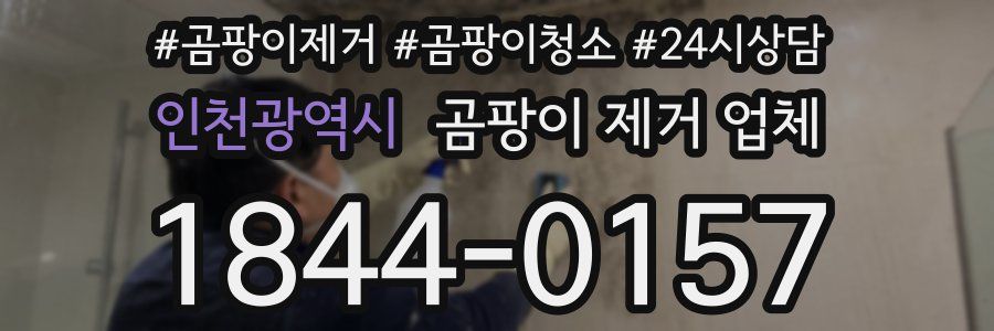 인천광역시 곰팡이 제거 업체