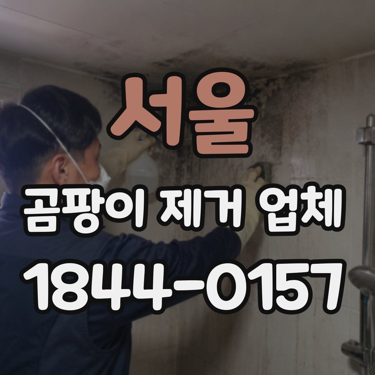 서울 곰팡이 제거 업체 집주인 상담 전에 준비할 체크 항목