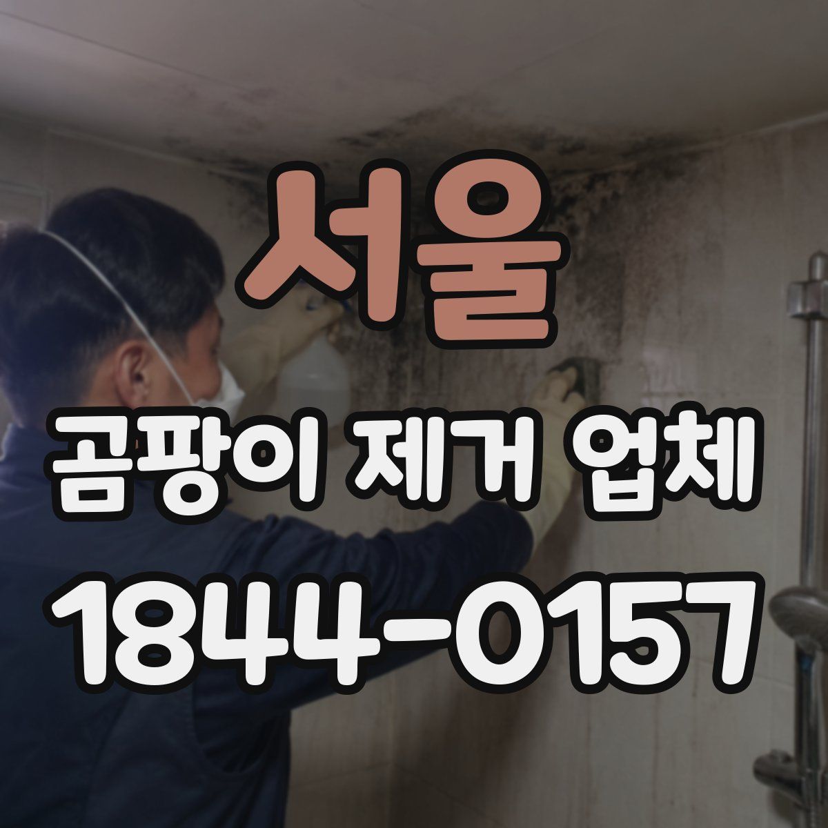 서울 곰팡이 제거 업체
