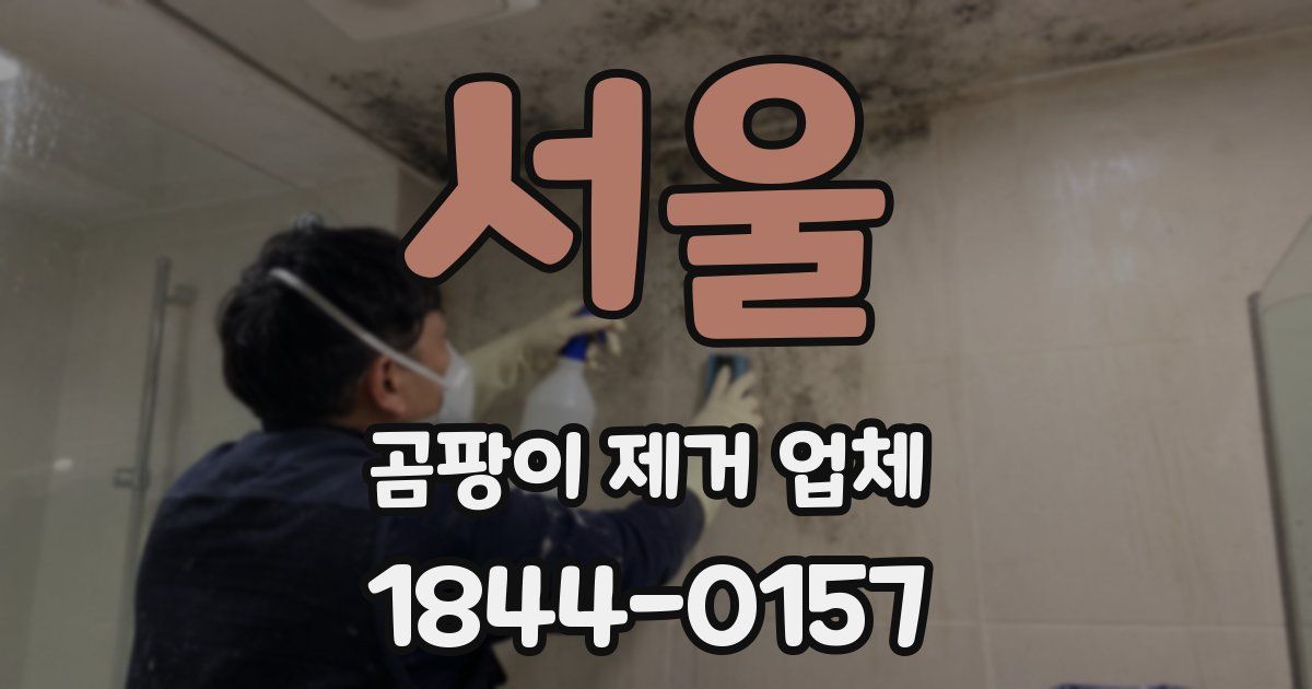 서울 곰팡이 제거 업체