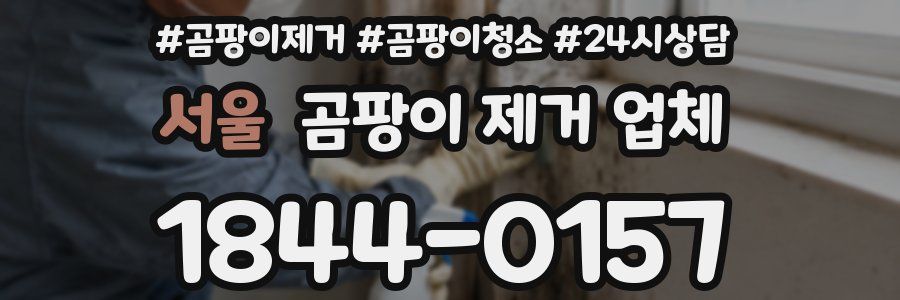 서울 곰팡이 제거 업체