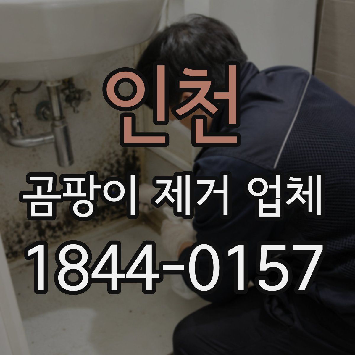 인천 곰팡이 제거 업체