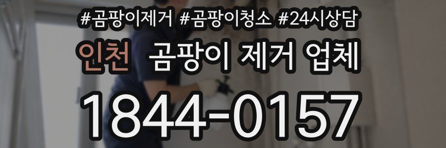 인천 곰팡이 제거 업체