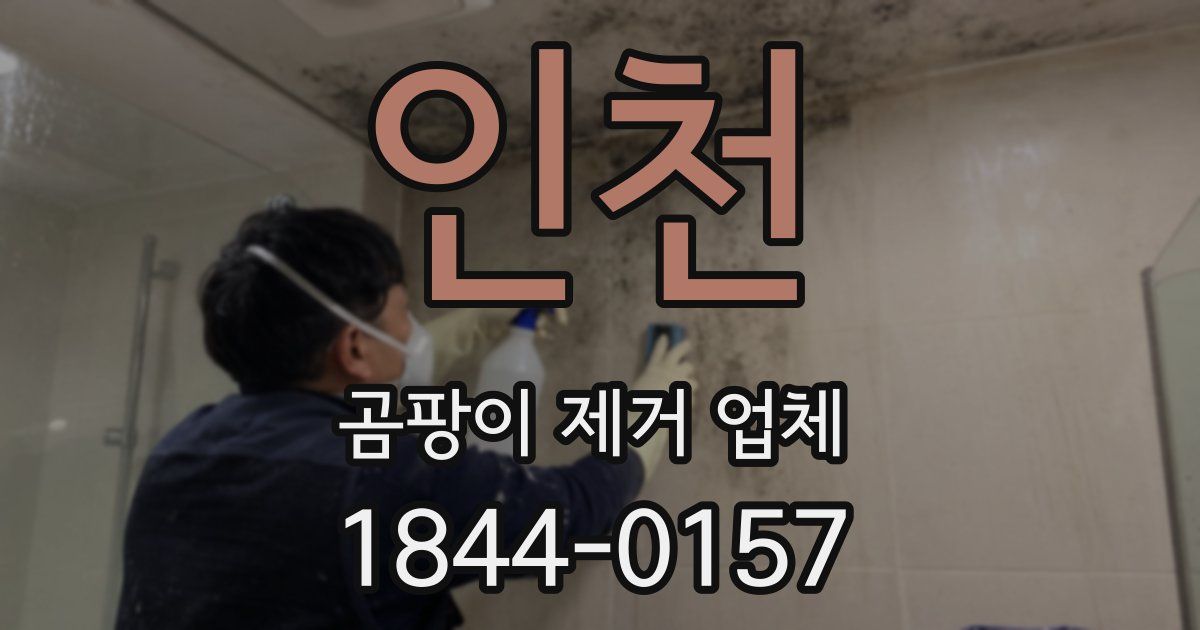 인천 곰팡이 제거 업체