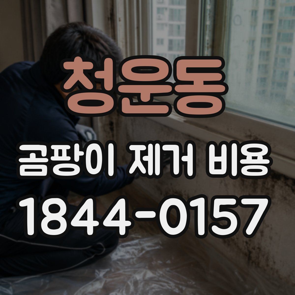 청운동 곰팡이 제거 비용 배관 누수 주변까지 살펴봐야 하는 이유